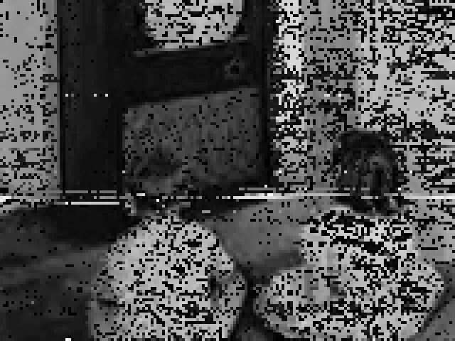 20060731143913.jpg 20060731143913.jpg